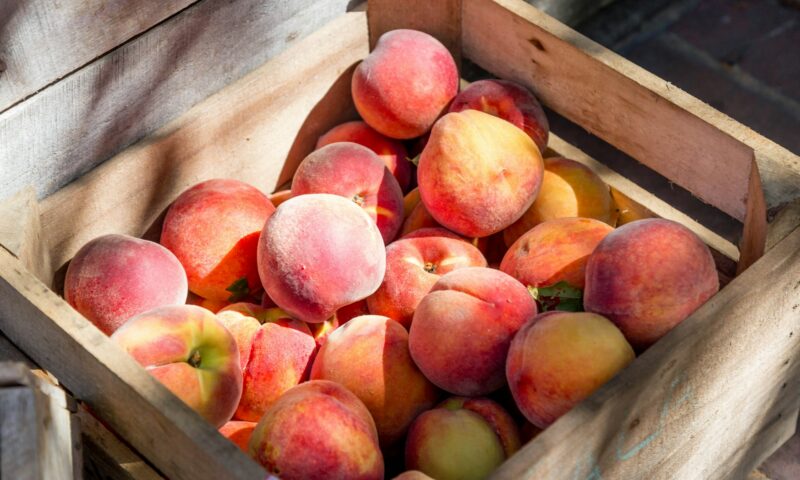Piersici și nectarine: ce aduc cu adevărat în meniul de vară