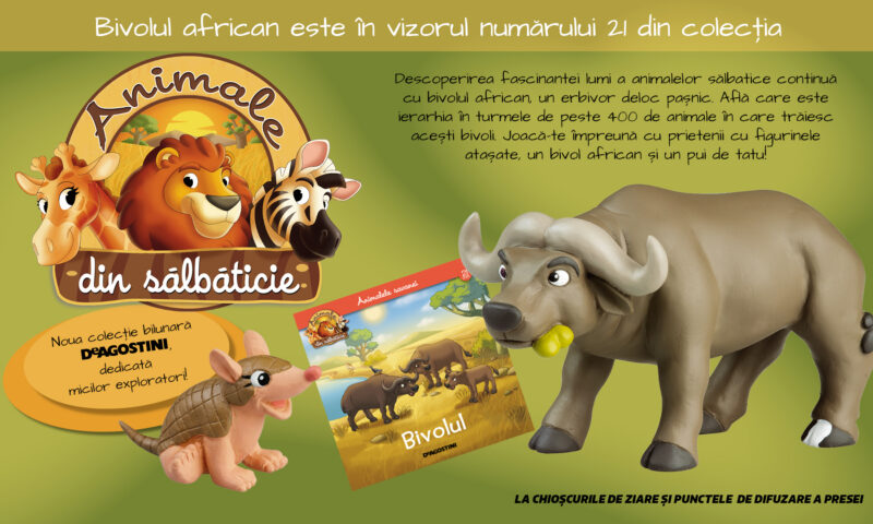 A venit timpul să cunoaștem bivolul african, în numărul 21 al Colecției „Animale din sălbăticie”, la chioșcuri din 21 iulie!