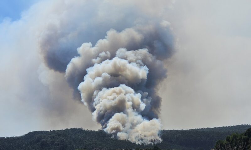 Incendii de vegetație în Portugalia. A fost activat mecanismul de protecție civilă