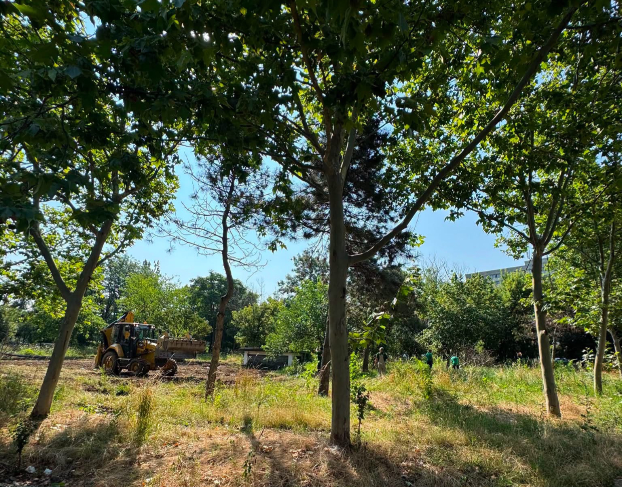 Parcul Grozăvești 