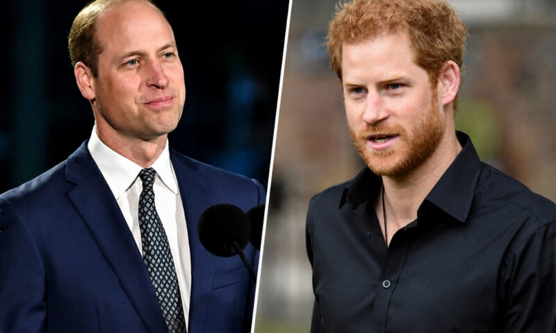 Harry, tot mai departe de o împăcare cu fratele său. William ar fi lipsit în mod intenționat de la întâlnirea recentă