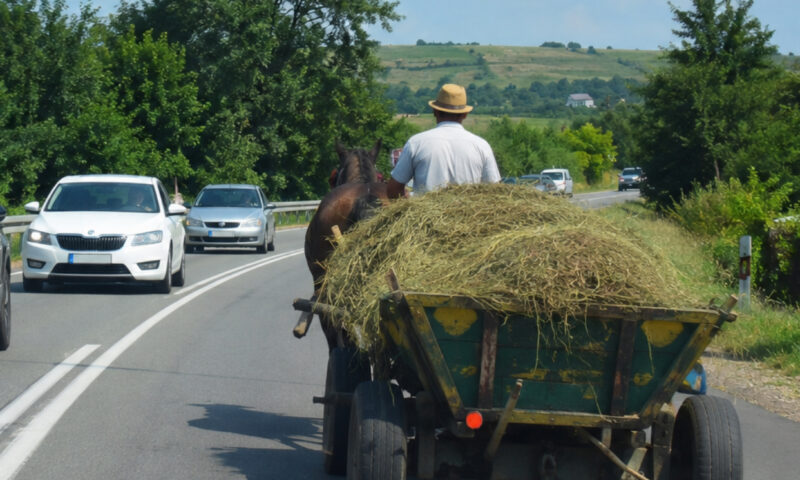 Depășirea unei căruțe pe linia continuă. Ce trebuie să știe șoferii care merg în concediu cu mașina