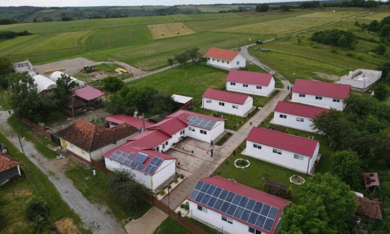 Zeci de căprioare lângă centrul lui Viorel Pașca. DSVSA: Nu există autorizații pentru un parc cu animale