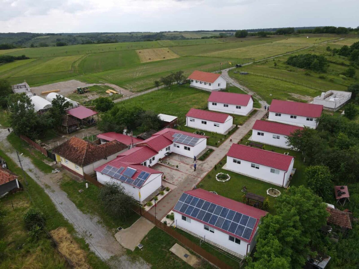 Casele lui Viorel Pașca