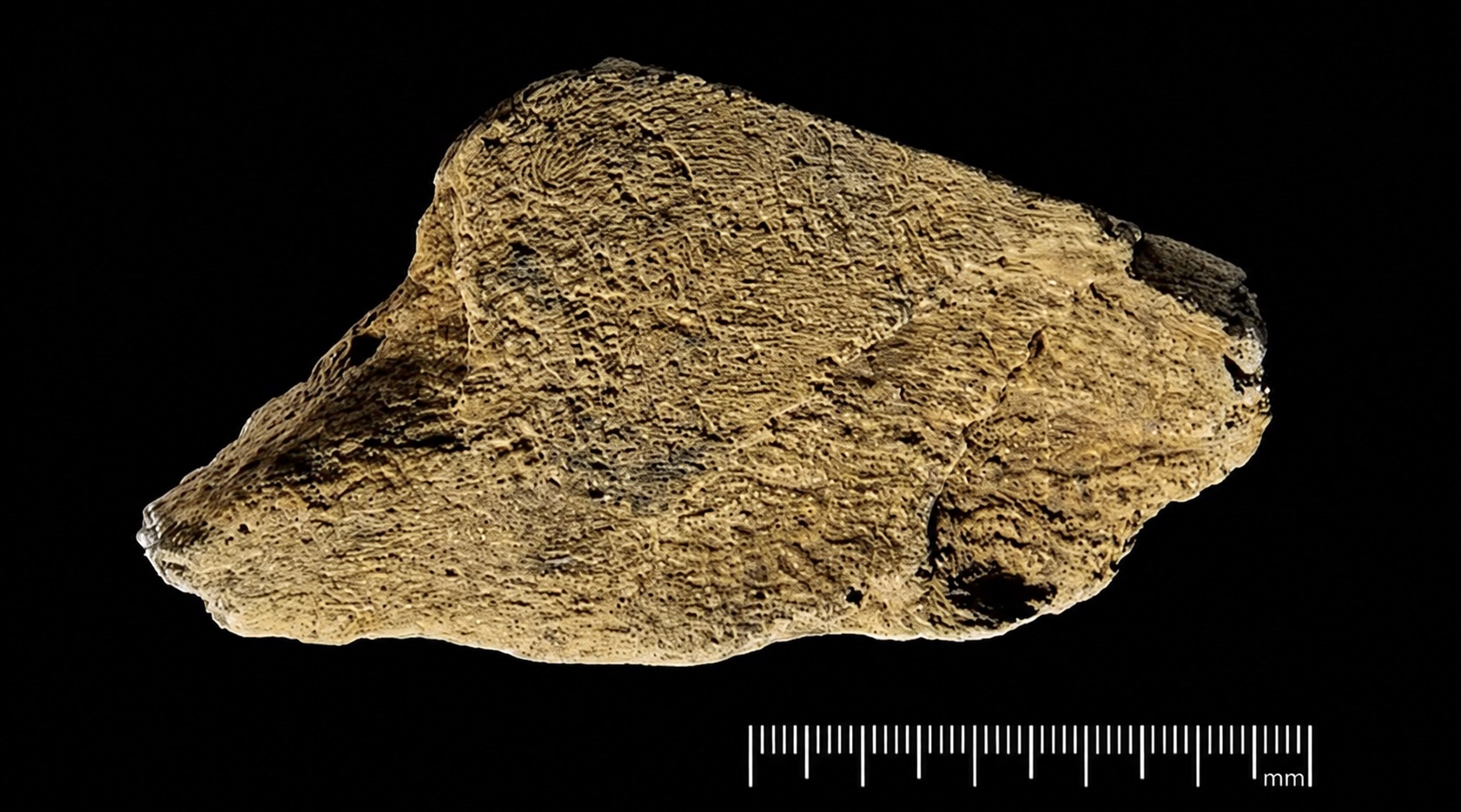 fragment ciocan preistoric