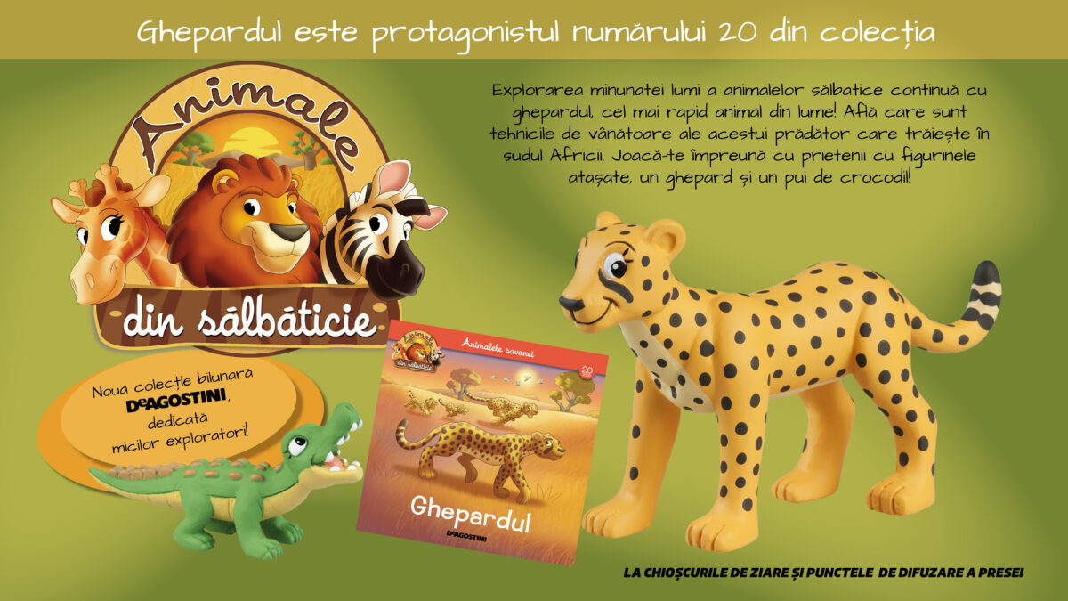 Ghepardul este eroul numărului 20 al Colecției „Animale din sălbăticie”, la chioșcuri din 7 iulie
