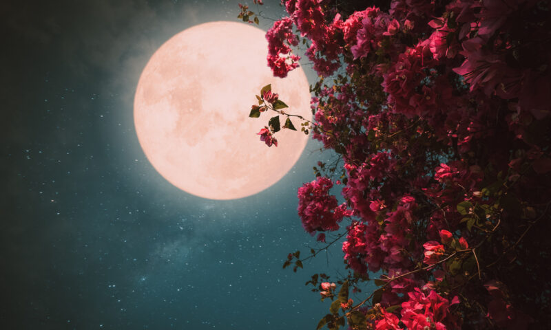 Luna Plină din Vărsător deschide un nou capitol pentru cinci zodii. Astrologii explică de ce această perioadă este diferită.