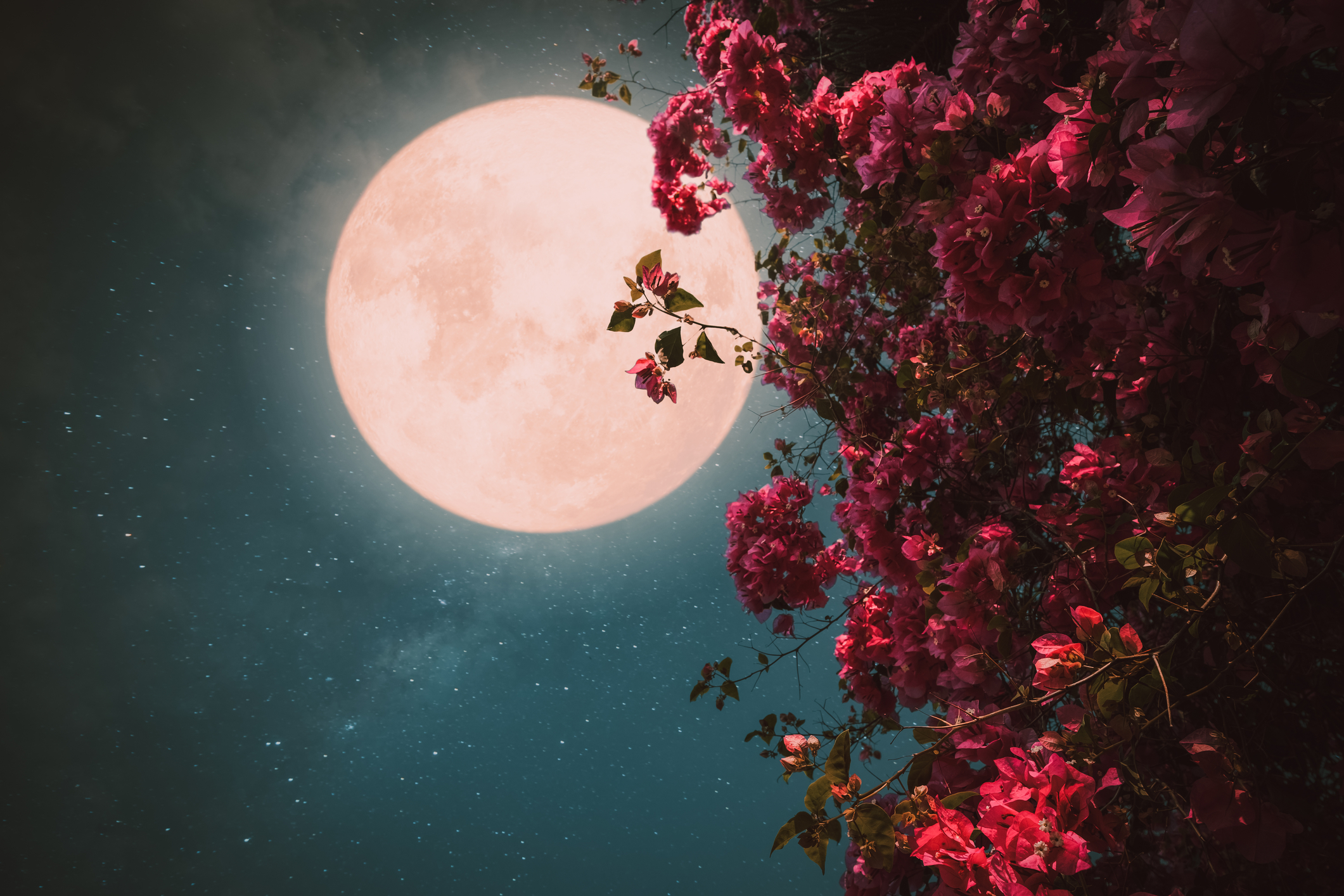 Luna Plină din Vărsător deschide un nou capitol pentru cinci zodii. Astrologii explică de ce această perioadă este diferită.