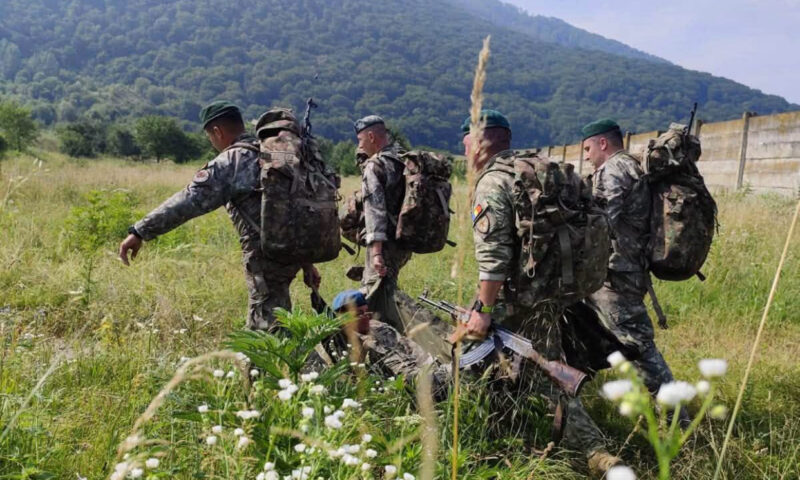 Cercetări disciplinare după controalele legate de containerele destinate Armatei Române. Două firme din Slatina, vizate de verificări