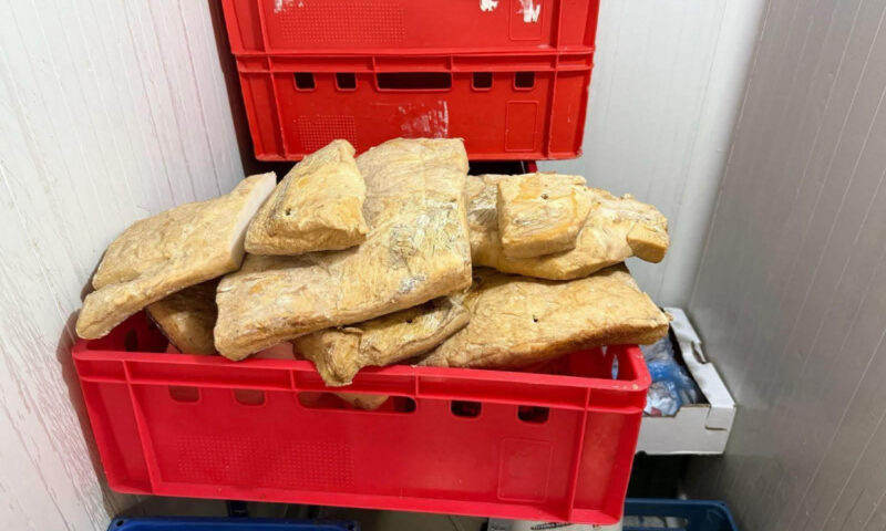 Atenție la cumpărăturile de vară. Inspectorii ANPC au găsit carne și lactate depozitate la temperaturi ridicate