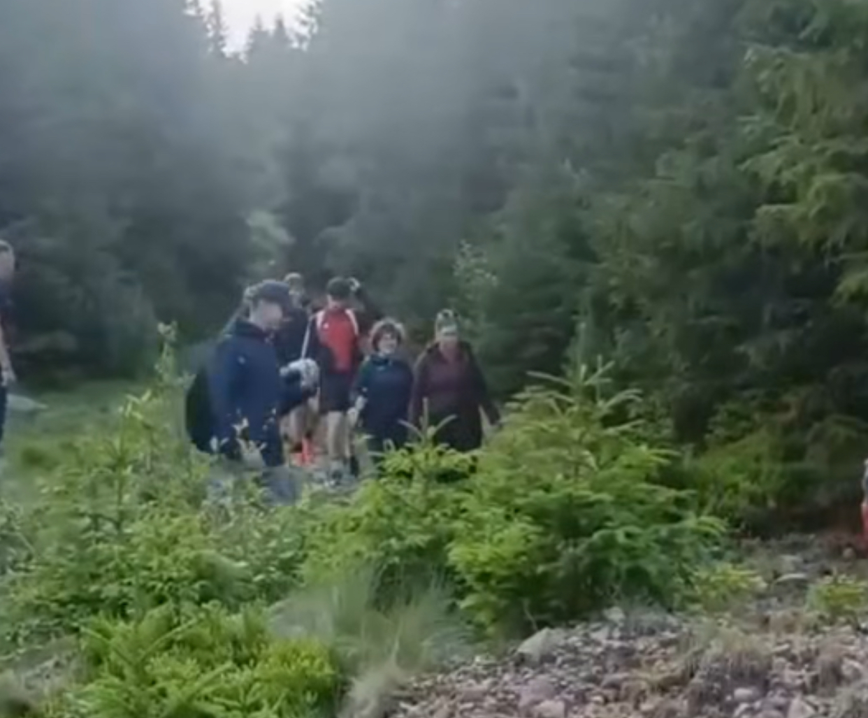 turisti