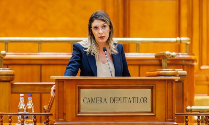 Romsilva respinge acuzațiile Dianei Buzoianu. Sindicaliștii vorbesc despre un „atac murdar”