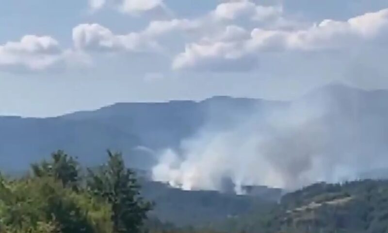 Explozie la o fabrică de armament din Bulgaria. Localnicii din mai multe zone, evacuați