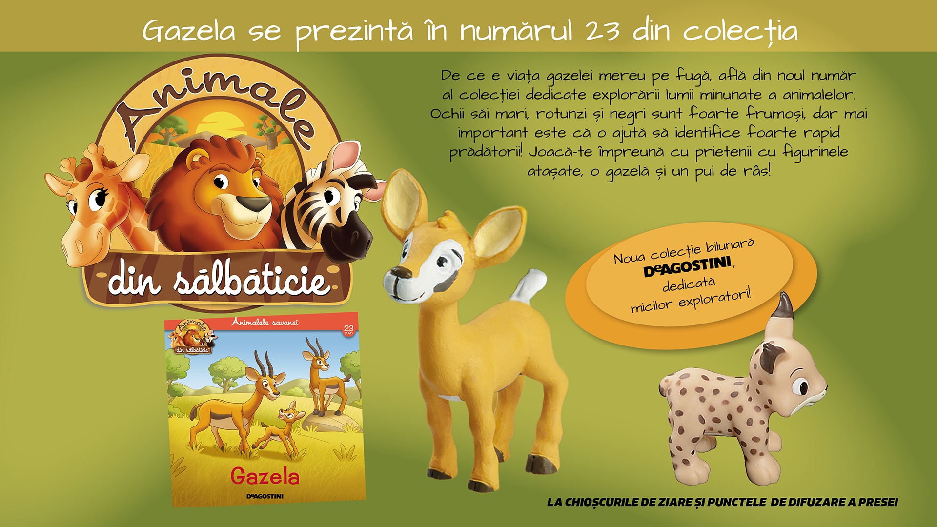Gazela este protagonista numărului 23 al Colecției „Animale din sălbăticie”. La chioșcuri, din 18 august!