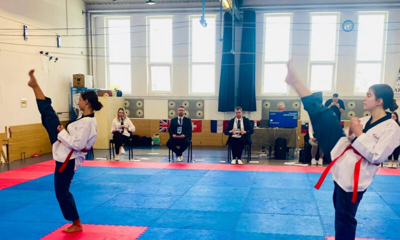 Afacerea din spatele Federației Române de Taekwondo WT. Ce a descoperit Curtea de Conturi