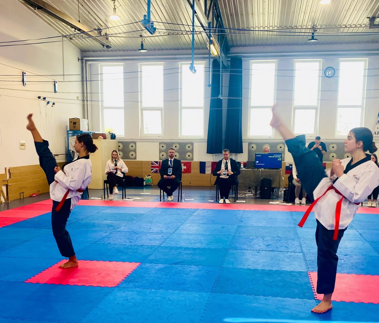 Afacerea din spatele Federației Române de Taekwondo WT. Ce a descoperit Curtea de Conturi