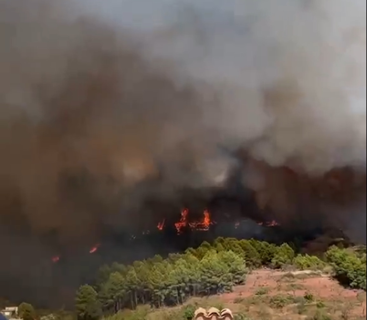Incendii Valencia