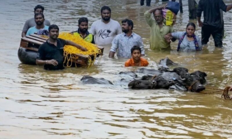 Dezastru în India după ploile musonice: Zeci de morți și mii de oameni evacuați în statul Assam