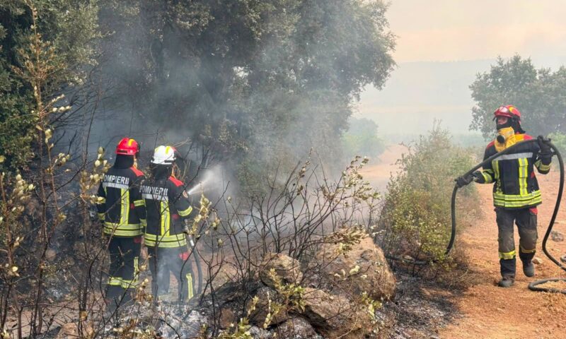 Grecia, sub asediul flăcărilor în plin sezon turistic. Premierul Mitsotakis avertizează asupra situației extrem de dificile