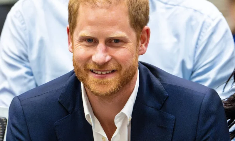 Prințul Harry a demisionat din consiliul de administrație al African Parks. Reacția oficială după ancheta privind abuzurile grave din Republica Congo