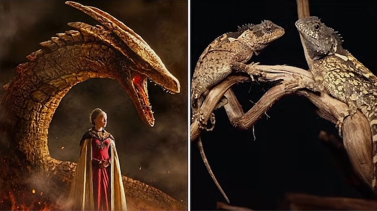 Au descoperit un nou „dragon” în munții Thailandei. Cercetătorii l-au numit Syrax, după personajul din „House of the Dragon”
