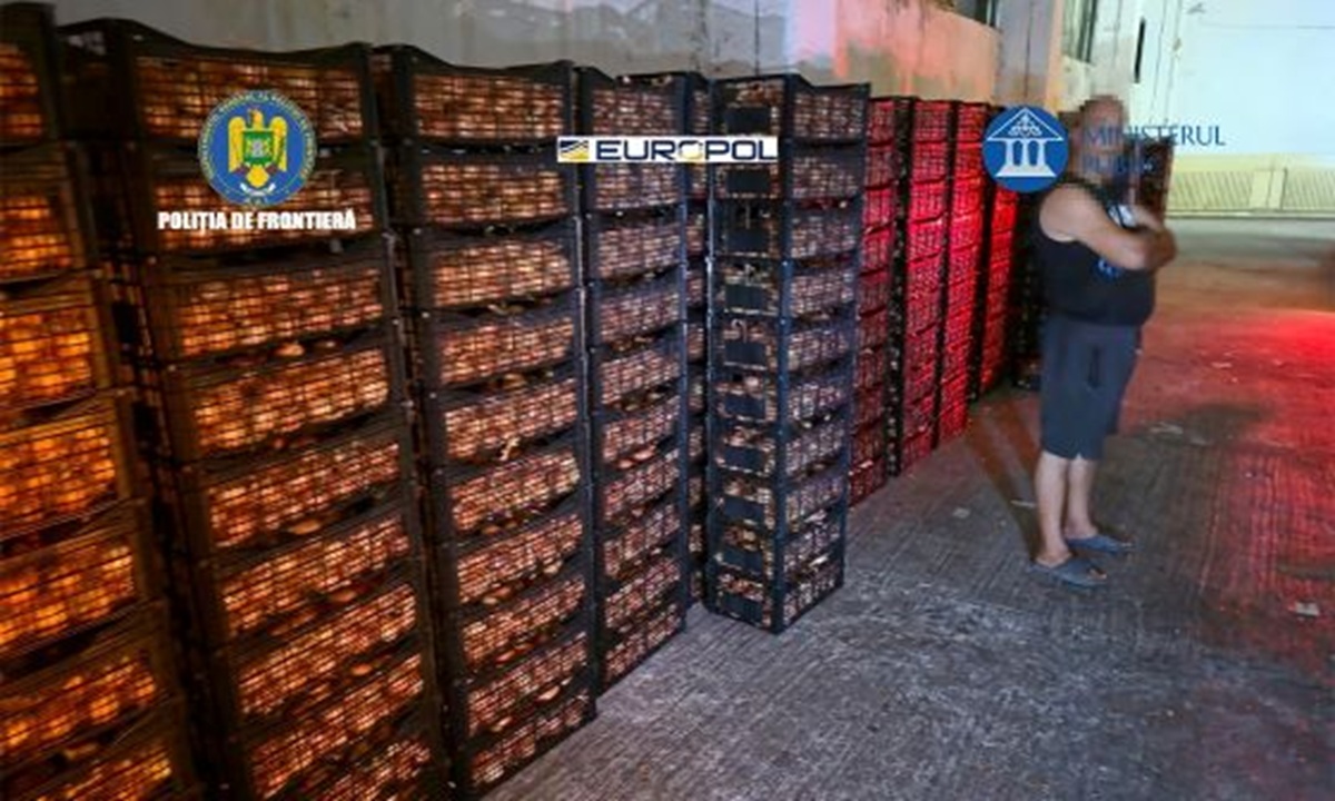 Modul inedit prin care au fost introduse în România 70 de milioane de țigarete. Gruparea era formată din români și moldoveni