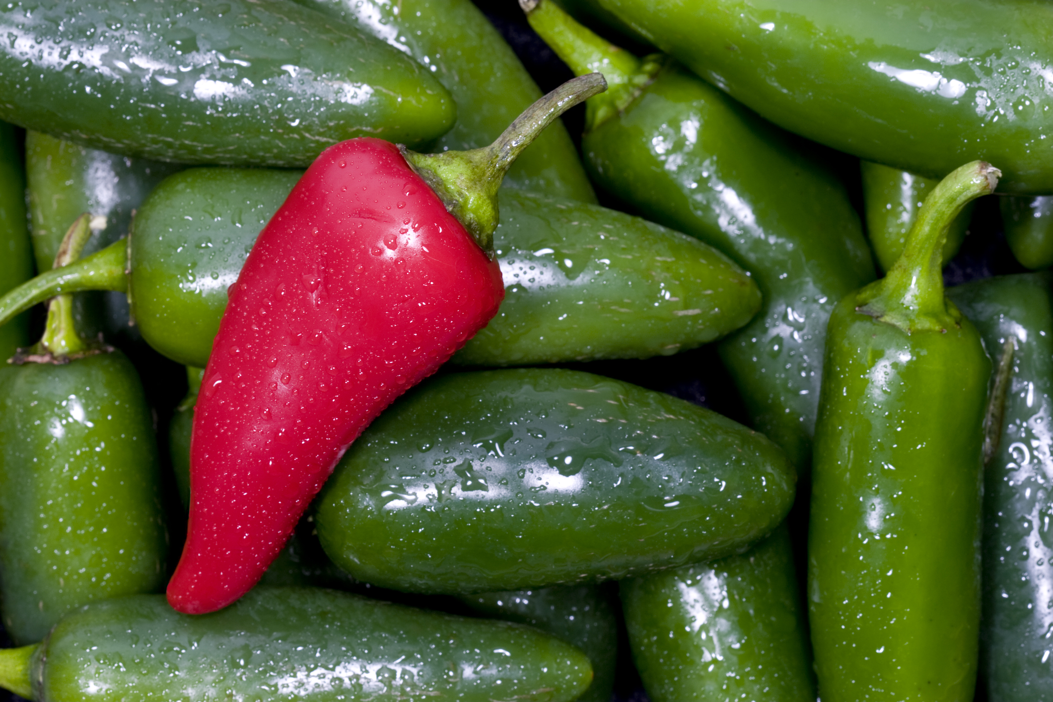Salmonella în ardei jalapeño importanți din Mexic. 345 de îmbolnăviri; anchetă amplă a autorităților