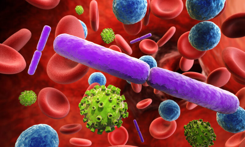 Cancerul poate fi contagios. Cazurile în care celulele cancerigene au ajuns de la un animal la altul