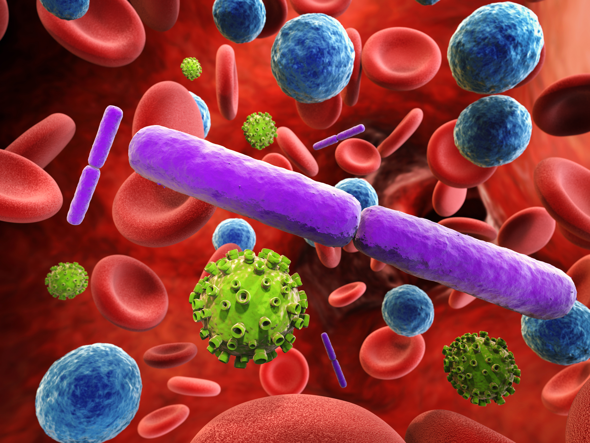 Cancerul poate fi contagios. Cazurile în care celulele cancerigene au ajuns de la un animal la altul