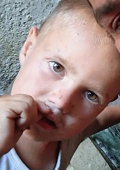 Alertă în Constanța. Un băiețel de 3 ani a dispărut de la o stână. Poliția a cerut ajutorul populației