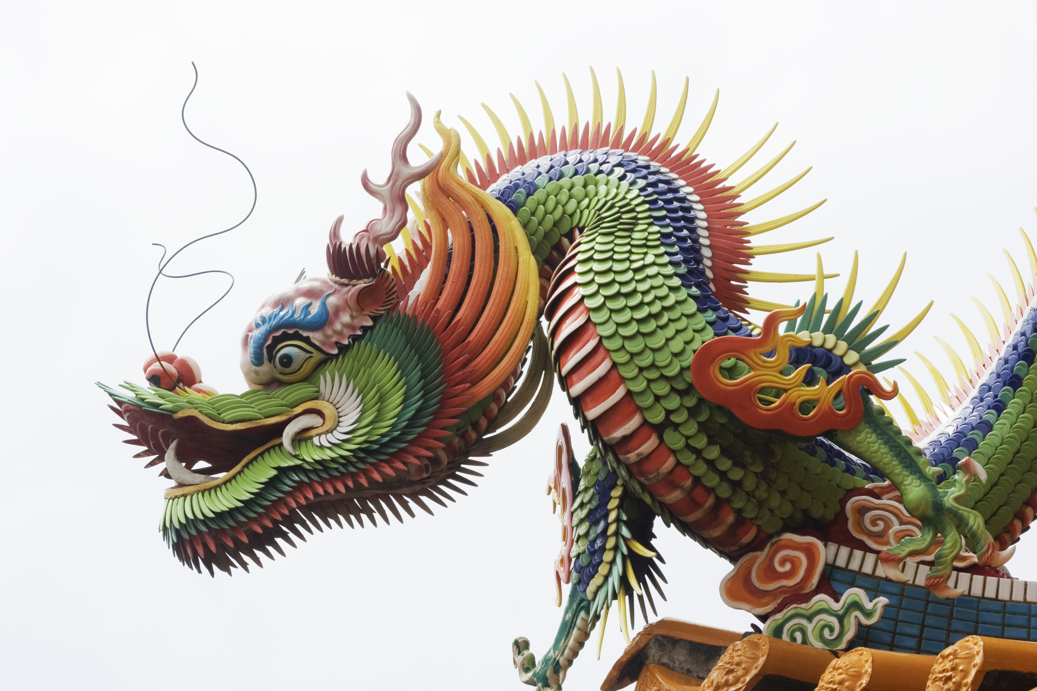 dragon