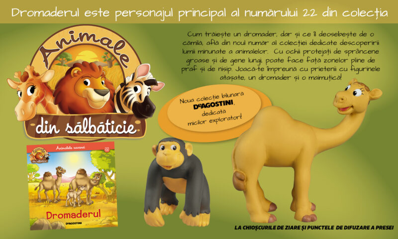 Dromaderul vine din deșert în paginile Colecției „Animale din sălbăticie”. Numărul 22, la chioșcuri, din 4 august!