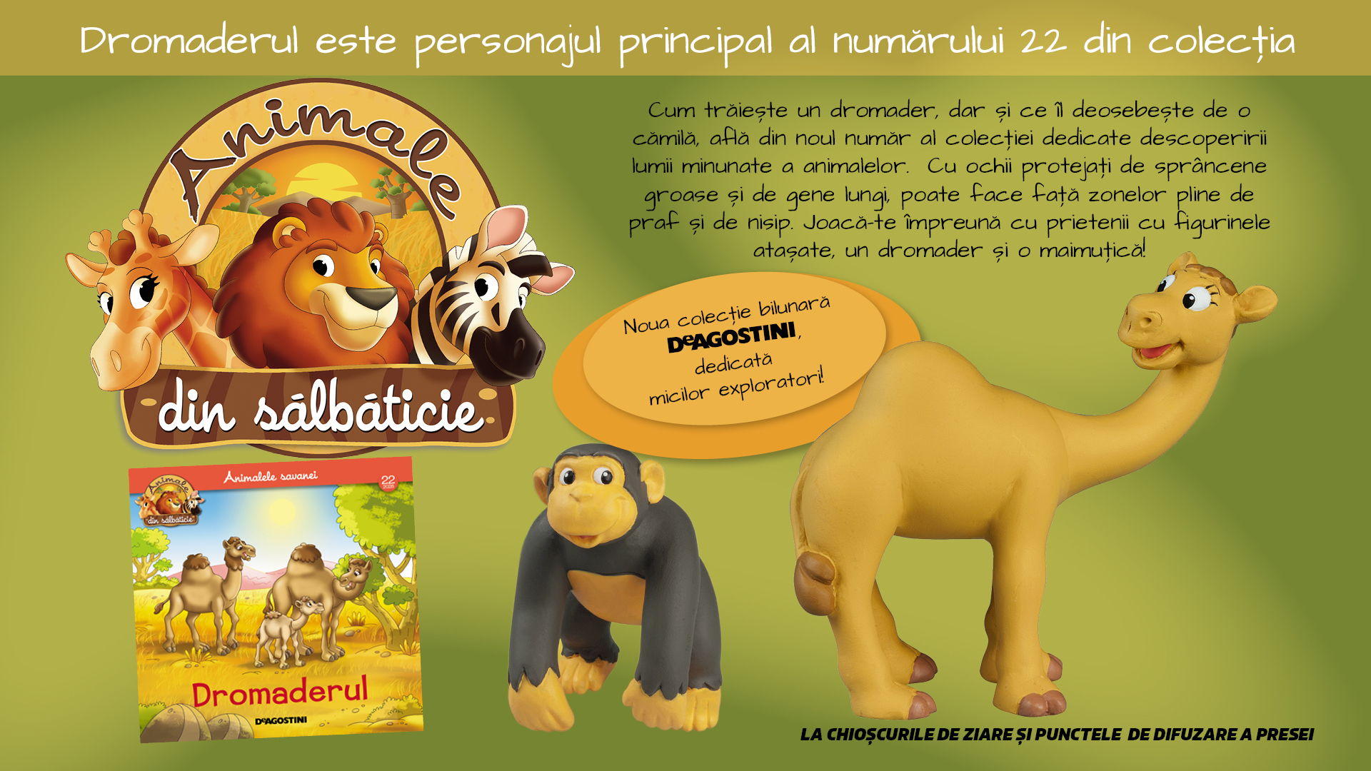 Dromaderul vine din deșert în paginile Colecției „Animale din sălbăticie”. Numărul 22, la chioșcuri, din 4 august!