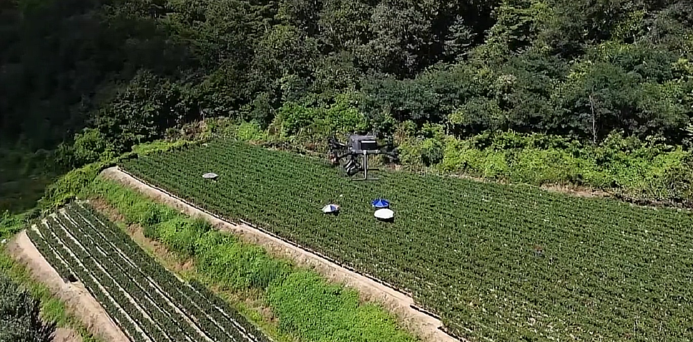 drone agricultură