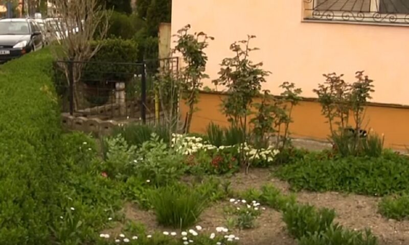 Grădina blocului nu este întotdeauna a proprietarilor! Detaliul din acte care arată dacă terenul aparține Primăriei