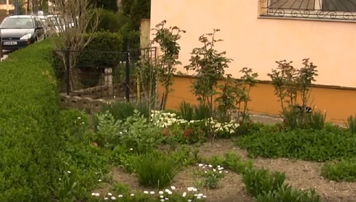 Grădina blocului nu este întotdeauna a proprietarilor! Detaliul din acte care arată dacă terenul aparține Primăriei