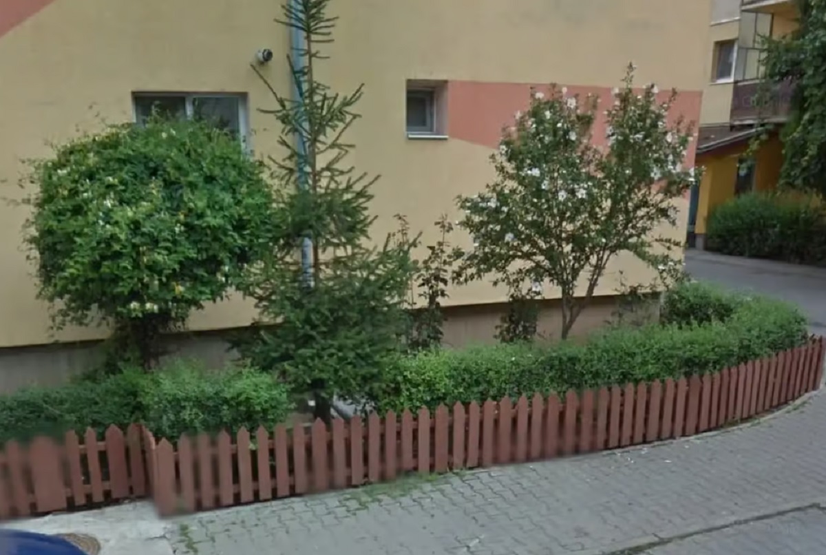 gradina de la bloc
