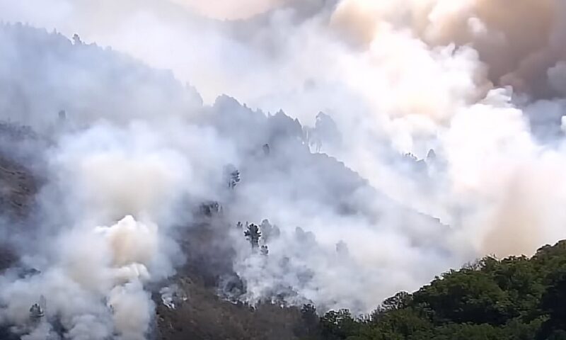Atenționare MAE pentru românii care merg în Valencia. Risc ridicat de incendii