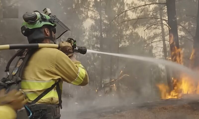 Incendiu puternic de vegetație la ieșirea din Brăila. Trafic oprit pe DN 22B din cauza fumului