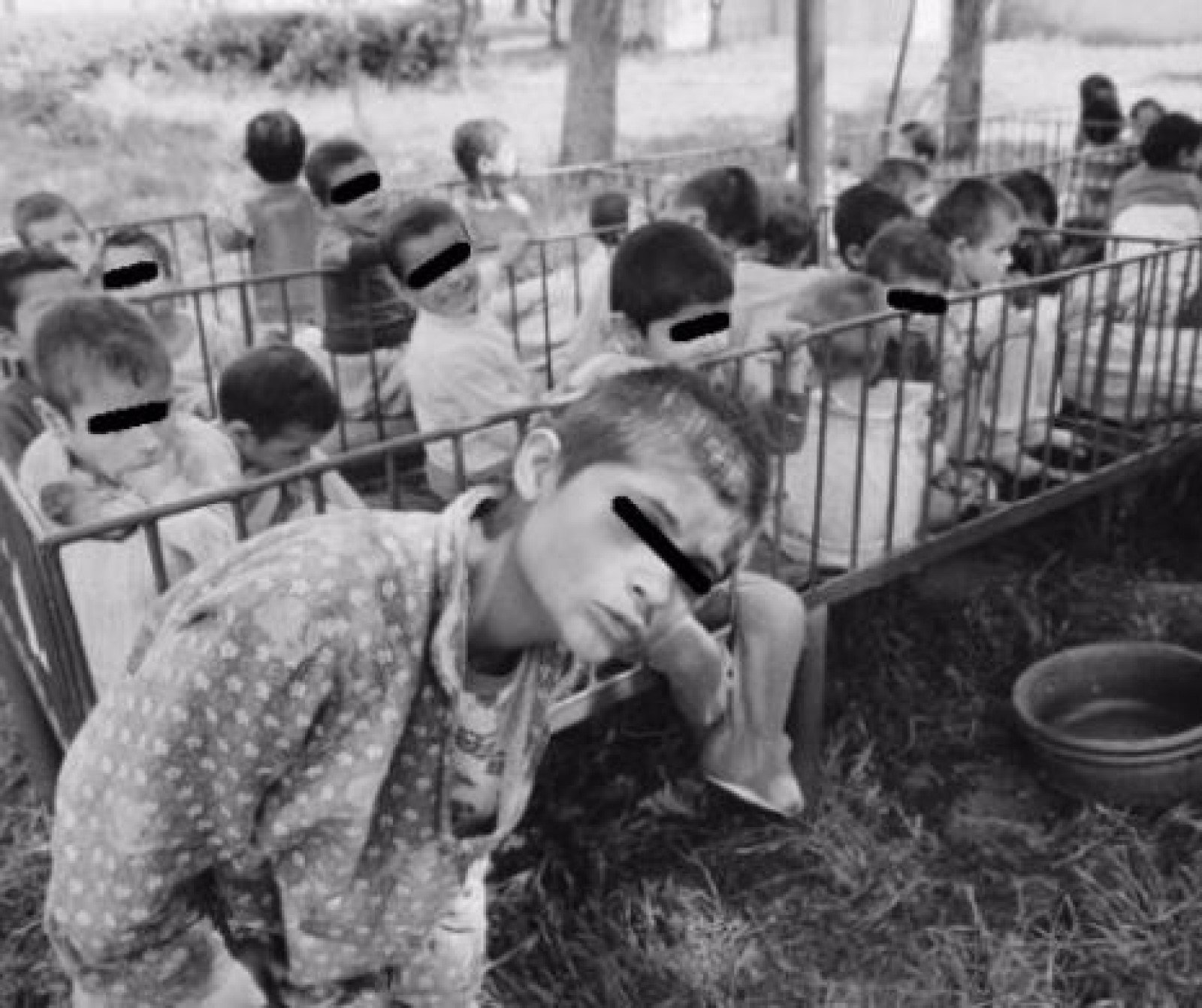 Ororile avorturilor ilegale în vremea lui Ceaușescu. Blestemul unei generații, părinții decrețeilor