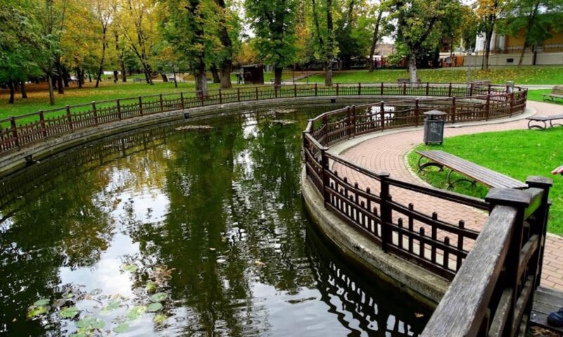 Bistrița între cultura privată și cultura statului pe bani mulți