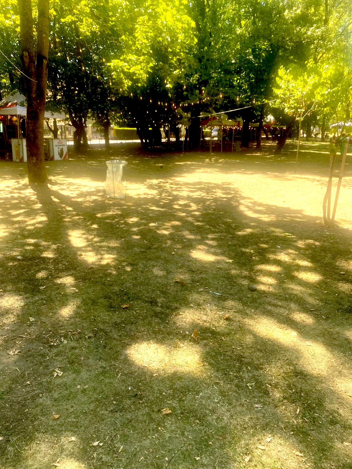Parcul din Bistrița, după eveniment, murdar și distrus