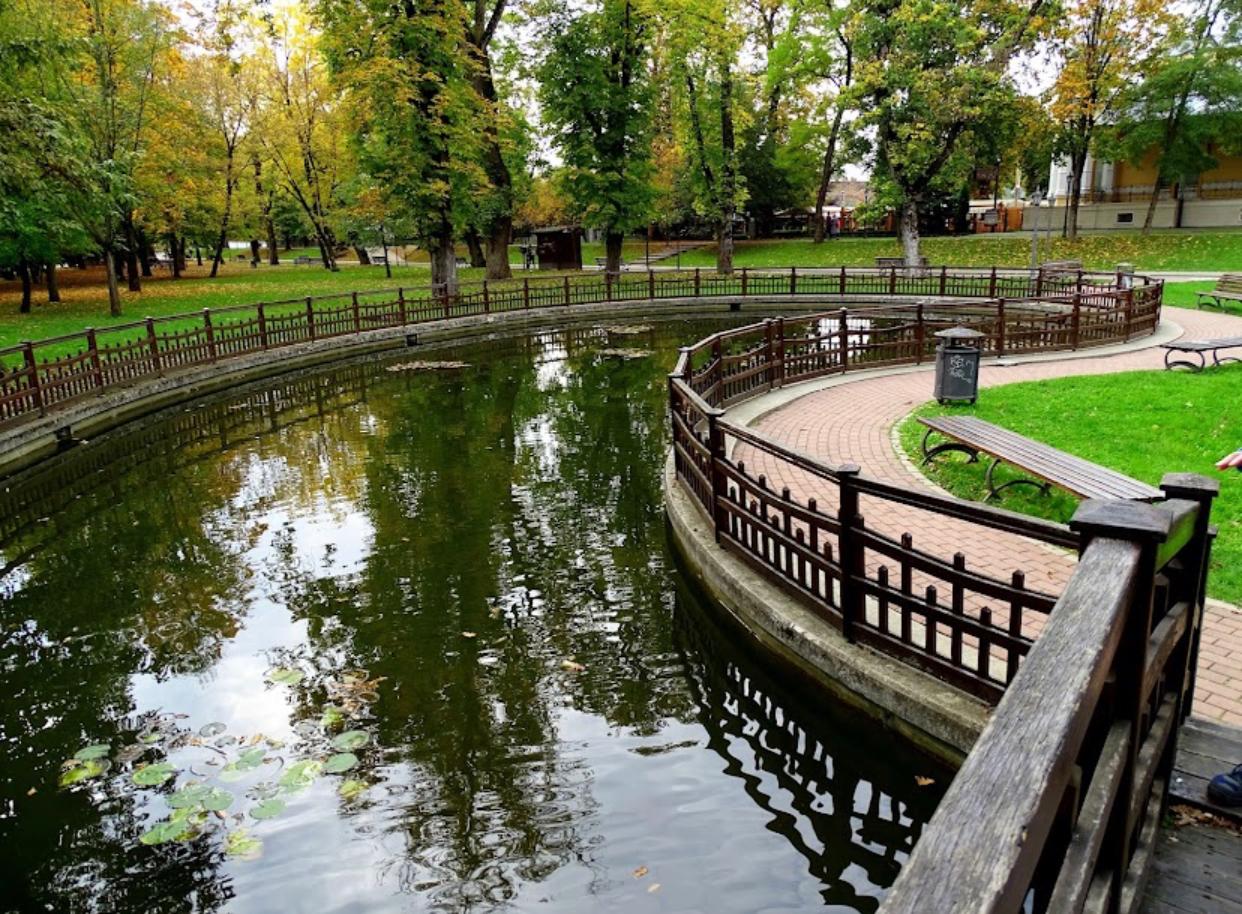 Bistrița între cultura privată și cultura statului pe bani mulți