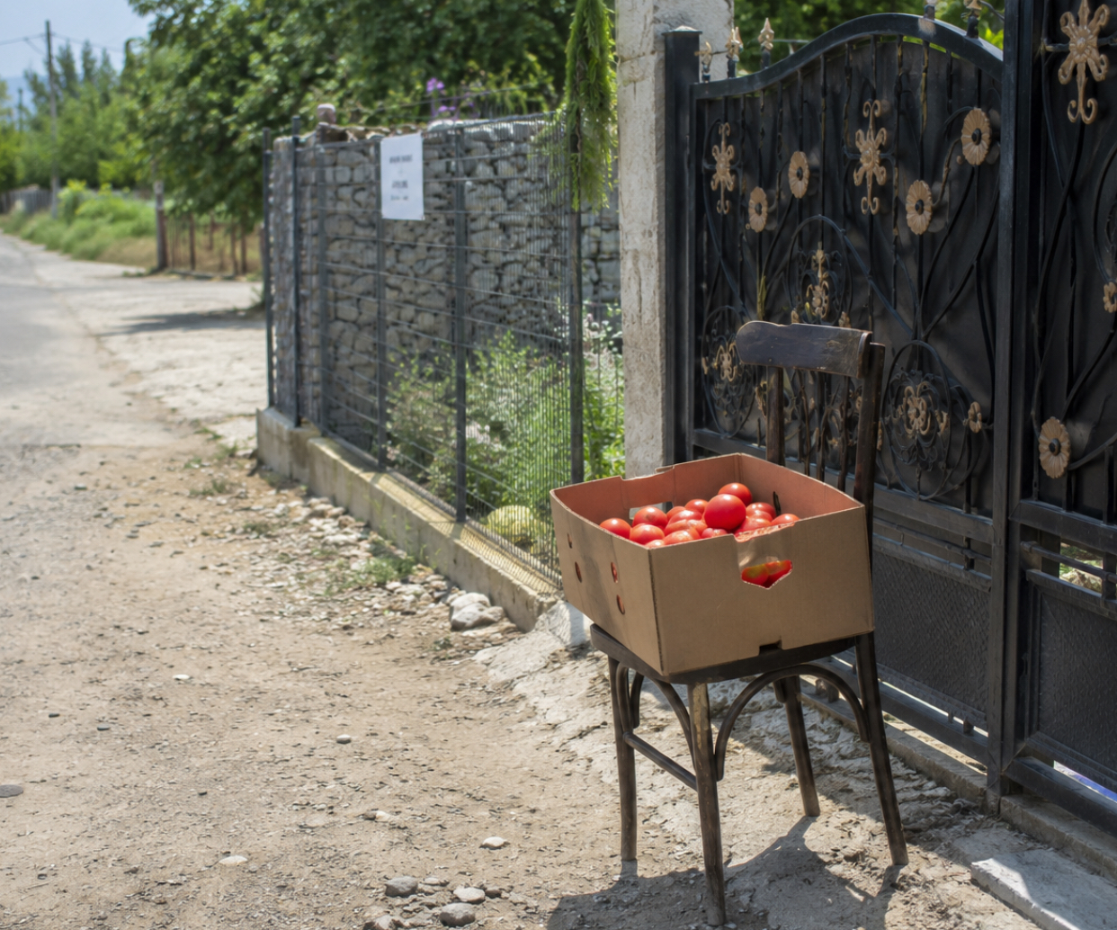 Controale pe drumurile naționale. Cei care vând pe marginea șoselei, amendați