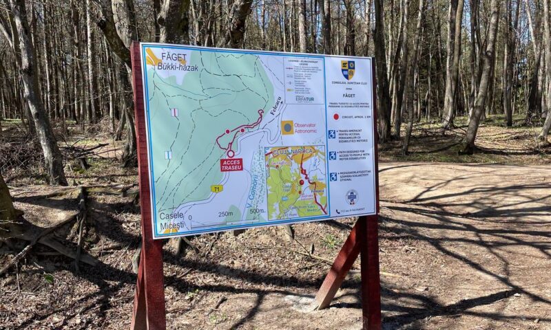 Traseu pentru persoanele cu dizabilități, vandalizat în Pădurea Făget. Toate marcajele au fost acoperite cu vopsea