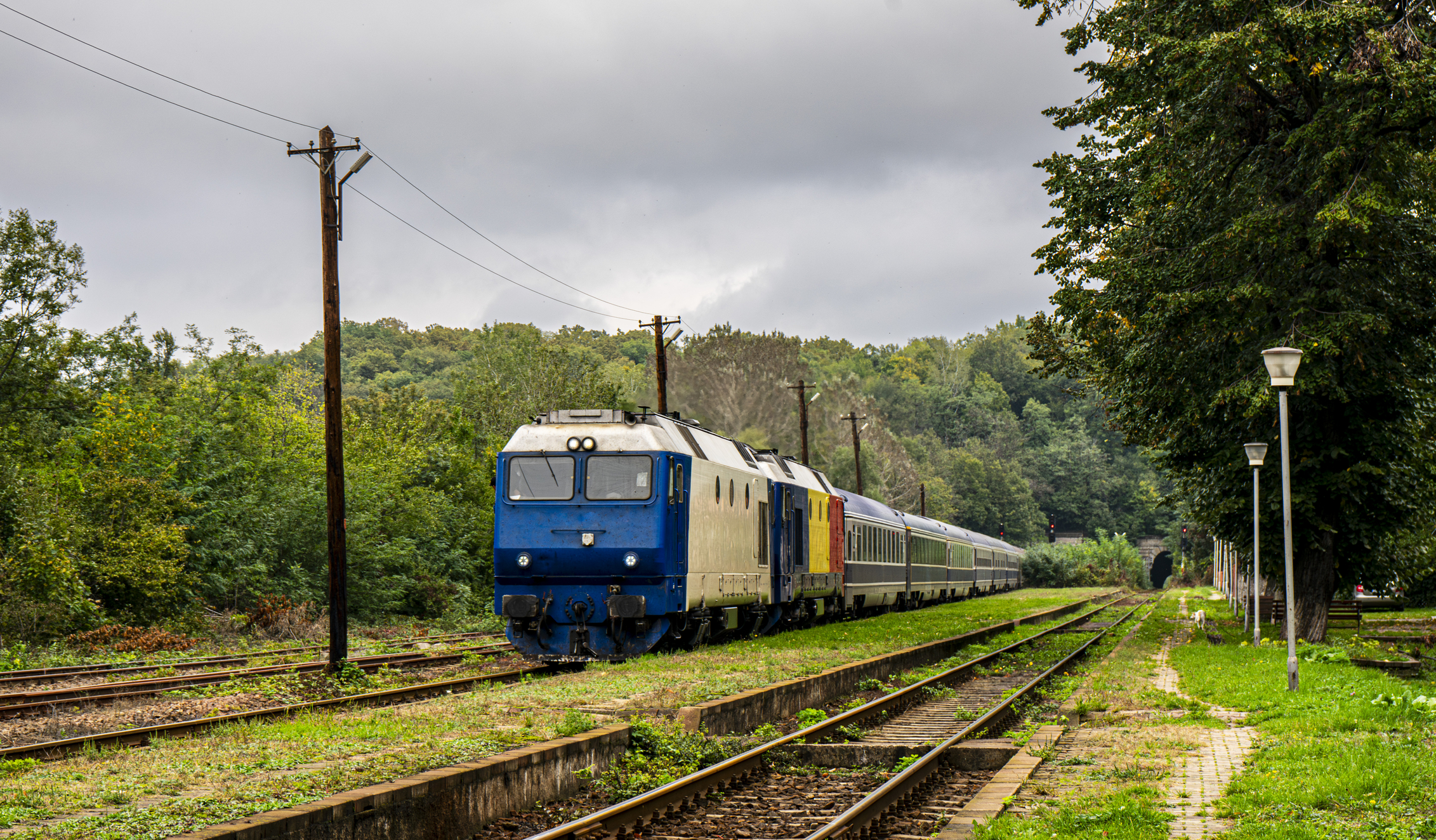 tren CFR