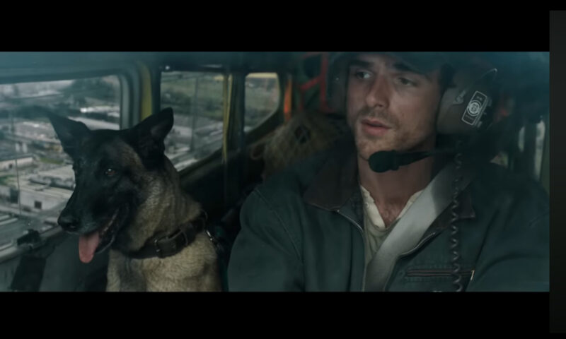 Debut dezastruos pentru „The Dog Stars”. „Spider-Man” domină box-office-ul pentru al cincilea weekend