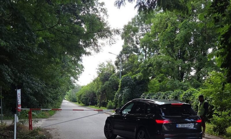 Accesul auto prin Pădurea Băneasa se redeschide. Greenfield acuză Ministerul Mediului după victoria din instanță