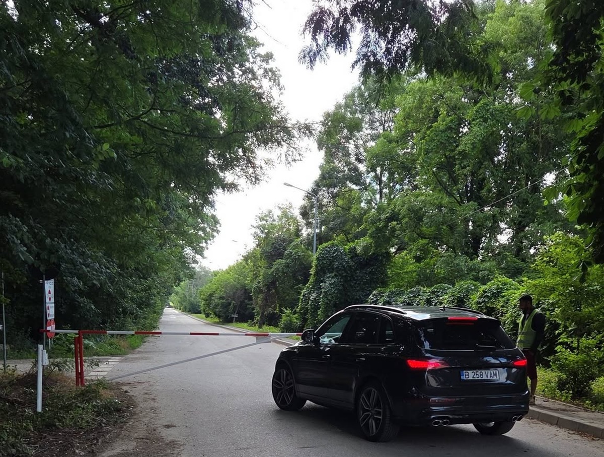 Accesul auto prin Pădurea Băneasa se redeschide. Greenfield acuză Ministerul Mediului după victoria din instanță