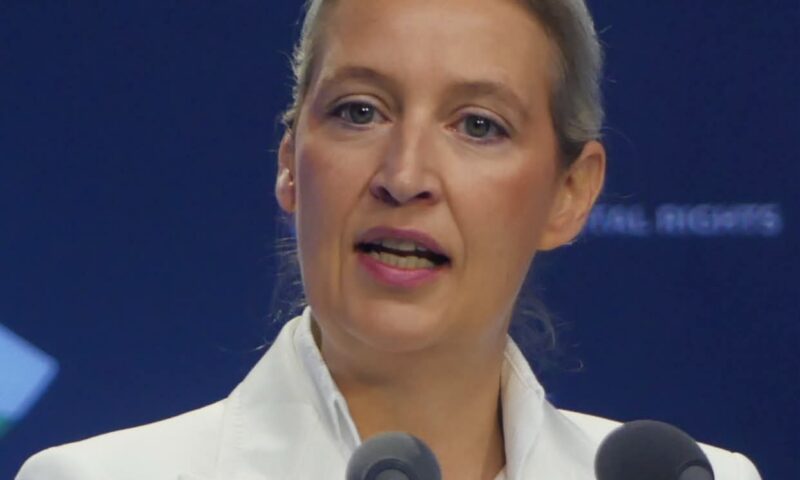 Noua realitate politică din Germania. Mirel Curea ironizează discursul despre „extrema dreaptă”